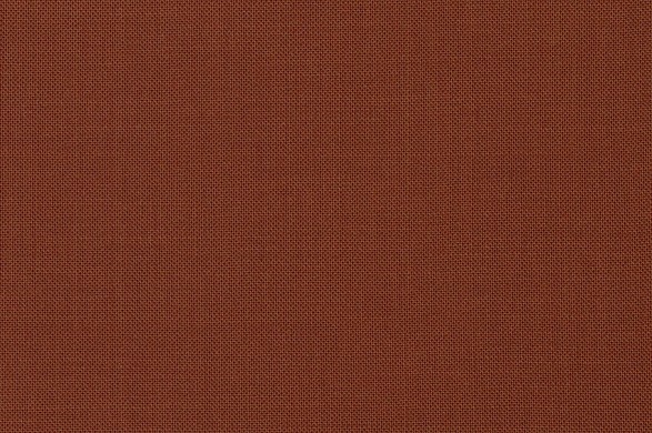 290812.jpg TONIK WOOL - 290812 - Ảnh 1