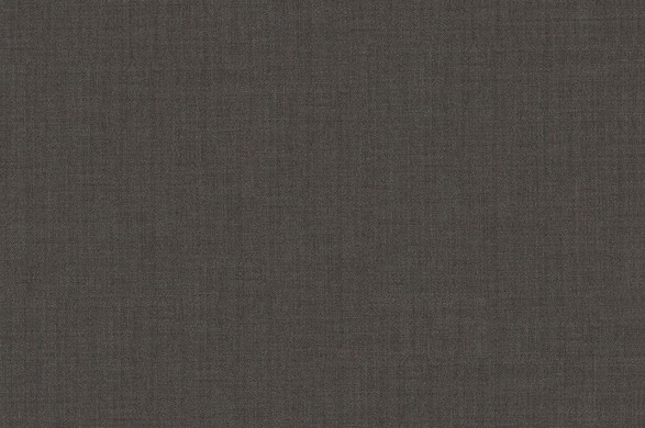 303097.jpg TROPICAL AMADEUS - 303097 - Ảnh 1