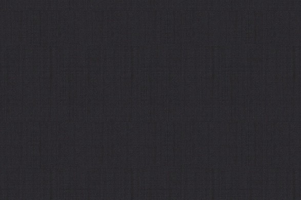 303304.jpg TROPICAL AMADEUS - 303304 - Ảnh 1