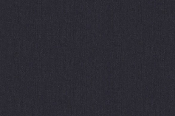303407.jpg TROPICAL AMADEUS - 303407 - Ảnh 1