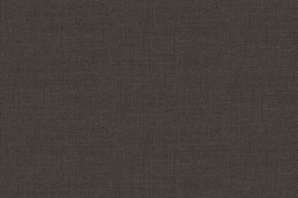 303408.jpg TROPICAL AMADEUS - 303408 - Ảnh 1