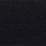 EXTREME VICUNA - 513009