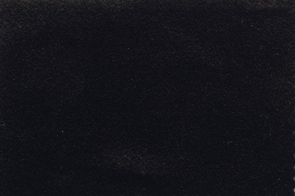 514009.jpg EXTREME VICUNA - 514009 - Ảnh 1