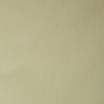 FOREVER GREEN - 770130