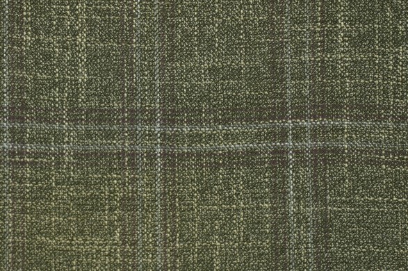 779427.jpg FOREVER GREEN - 779427 - Ảnh 1