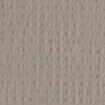 D PHILOSOPHY SS - 800003