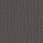 D PHILOSOPHY SS - 800004