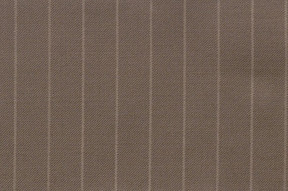 841106.jpg ECHO - 841106 - Ảnh 1