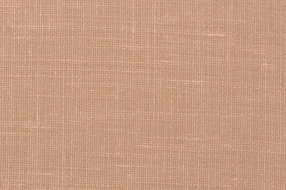 881155.jpg NATURALS - 881155 - Ảnh 1