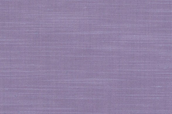 881325.jpg D PHILOSOPHY SS - 881325 - Ảnh 1